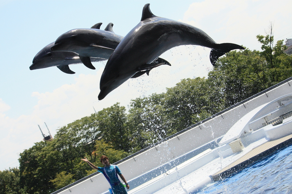 !!JUMP!!