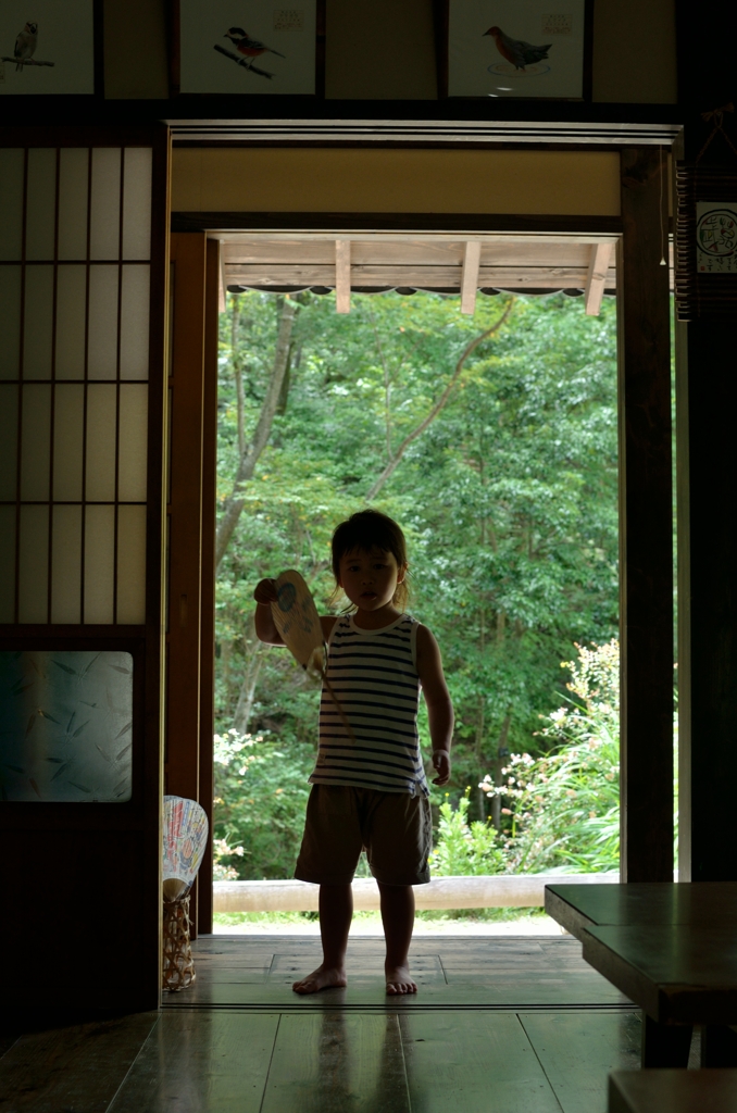 古民家の夏