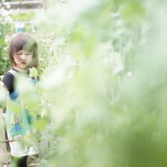 えんどうばたけ