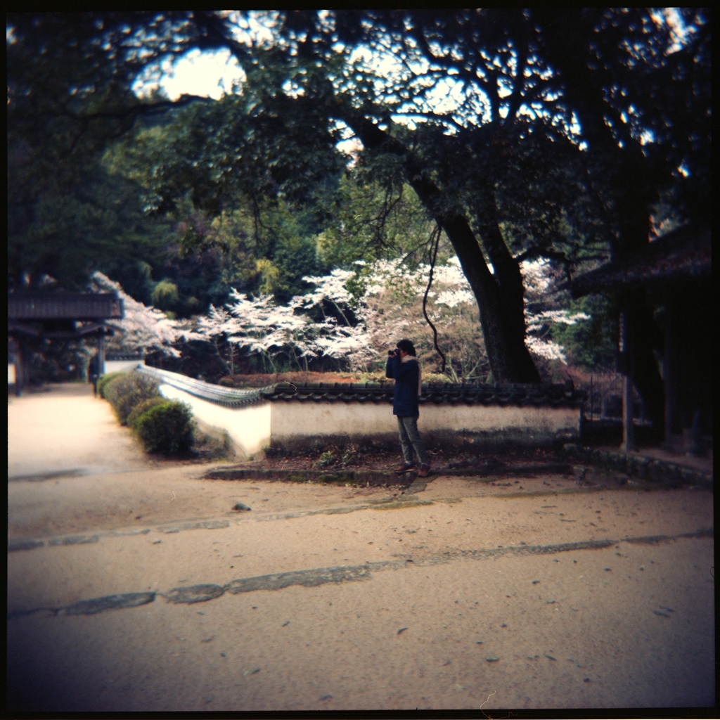 松平東照宮