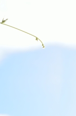 秋空に伸びて