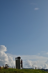 恐竜の夏