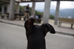 恋慕