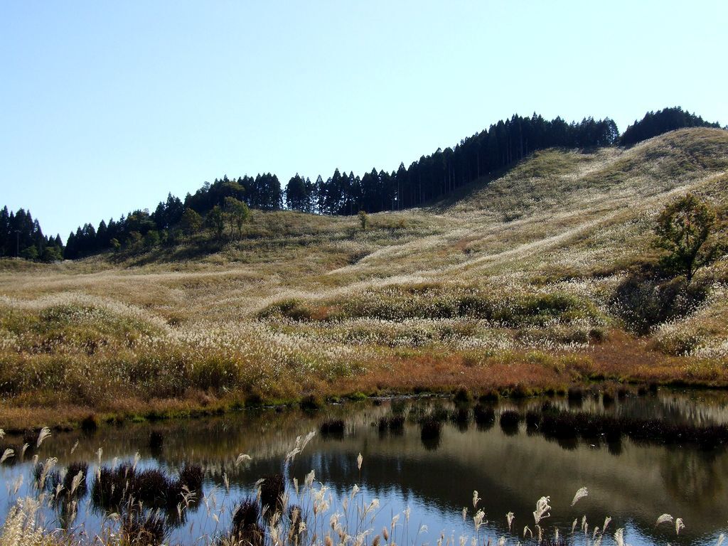 砥峰高原2020②