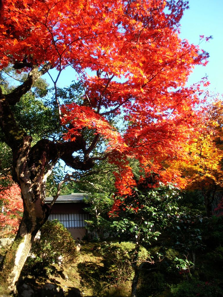 出石・沢庵寺