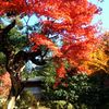 出石・沢庵寺