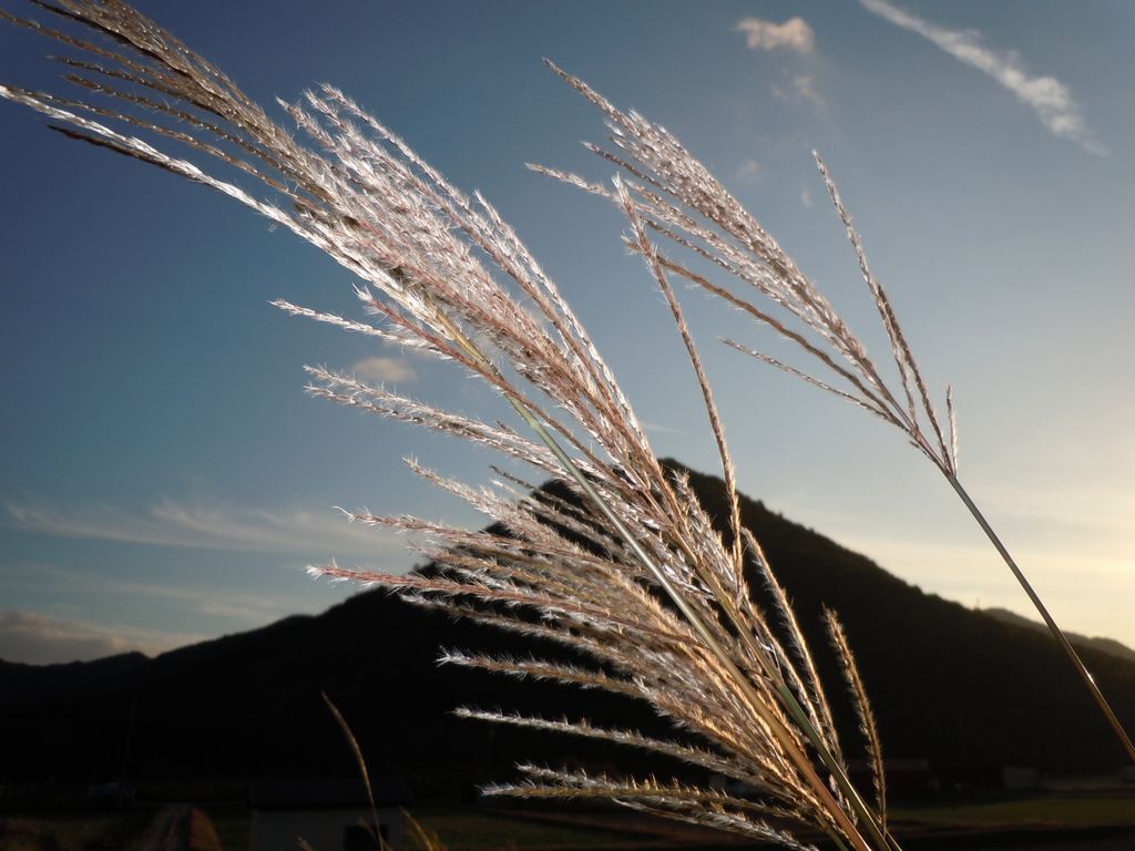 秋の夕暮れ