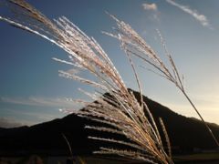 秋の夕暮れ