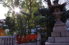 冬の神戸、光の社