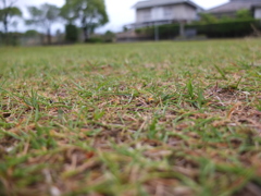 公園にて。。。