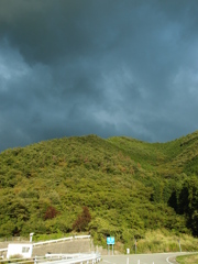 雨上がりのミドリ