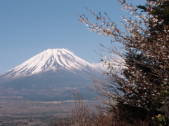 春嶺