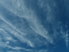 雲