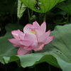 P1180015