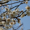 DSC00074