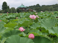 P1180033