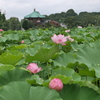 P1180033