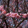 DSC00071
