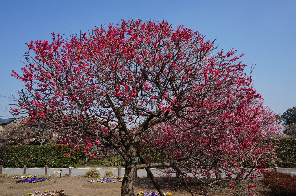 DSC00068