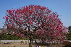 DSC00068