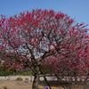 DSC00068