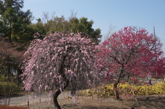 DSC00072