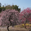 DSC00072