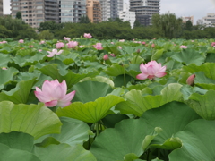 P1180032