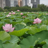 P1180032