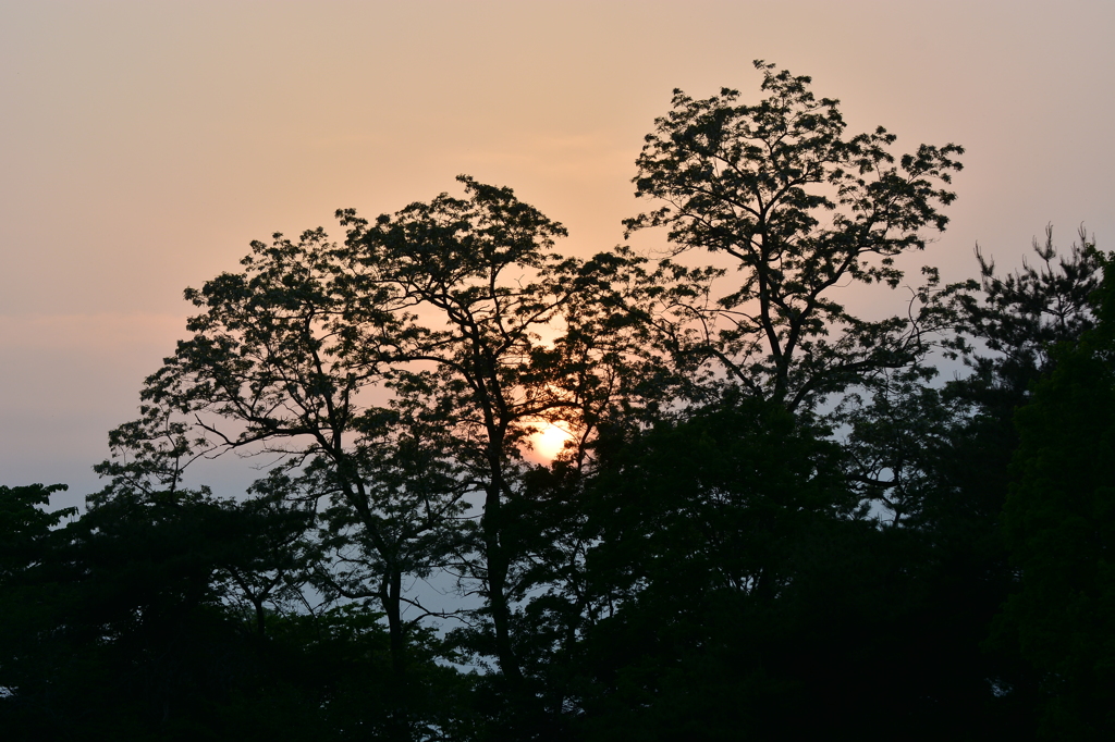 夕刻翠ヶ丘