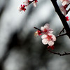 春の日差し