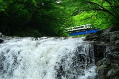 夏井大滝　～ 緑渓を駆け抜ける ～