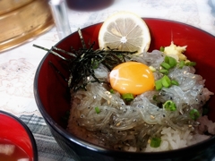 生しらす丼