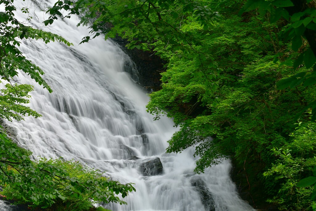 緑彩湯滝 4