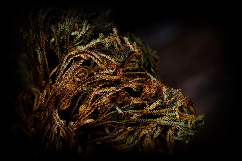  As of rope