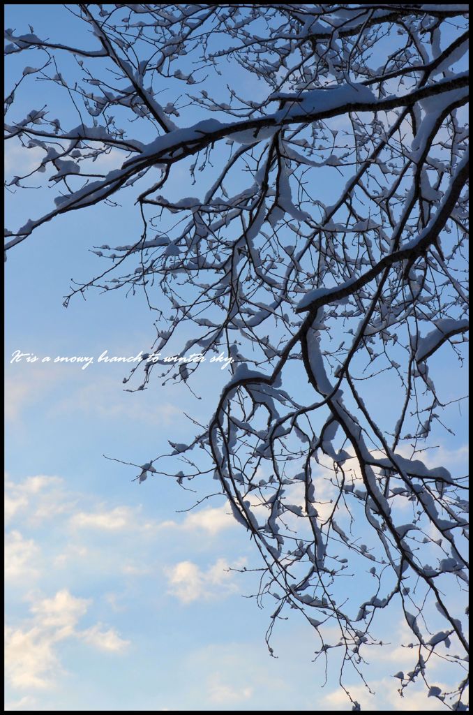 青空と雪枝のハーモニー