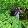新緑 塩沢不動滝 2020