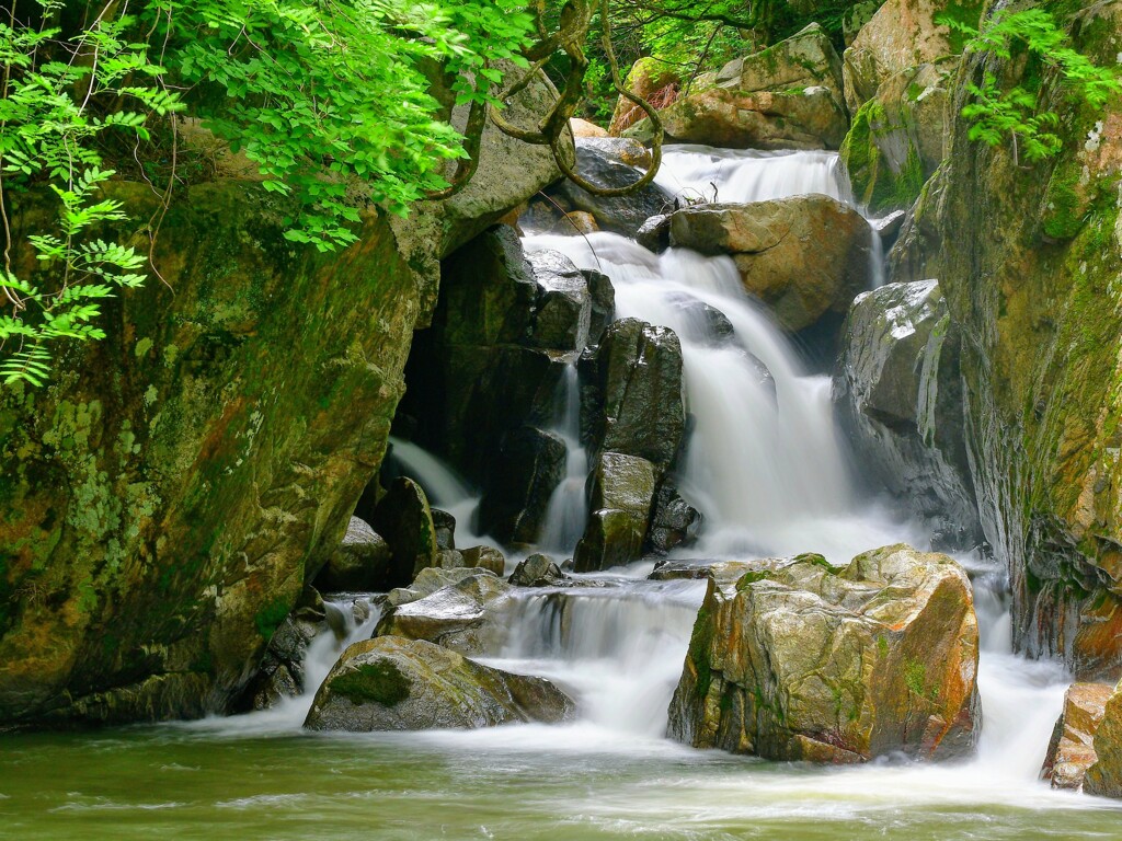 山鶏滝 〜初夏の色彩〜3