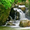 山鶏滝 〜初夏の色彩〜3