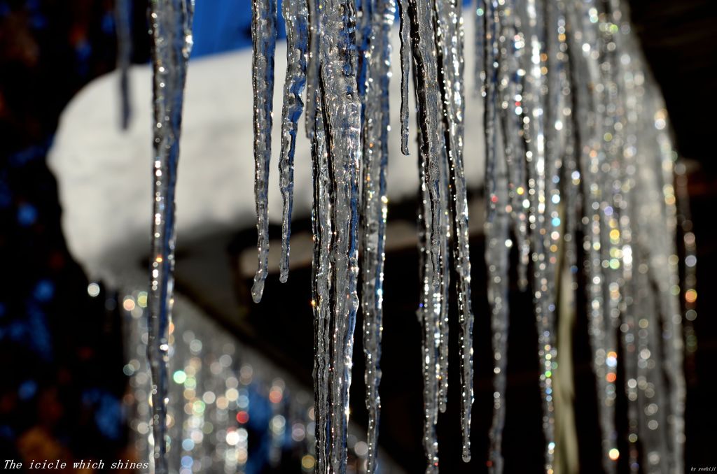  Icicle　ＩＩ