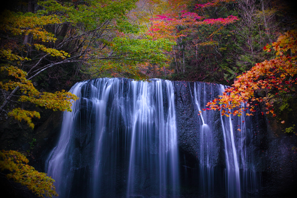 簾　秋彩三昧　４