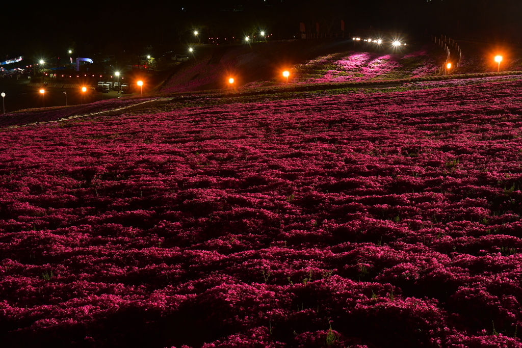 night carpet