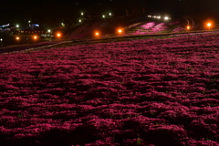 night carpet