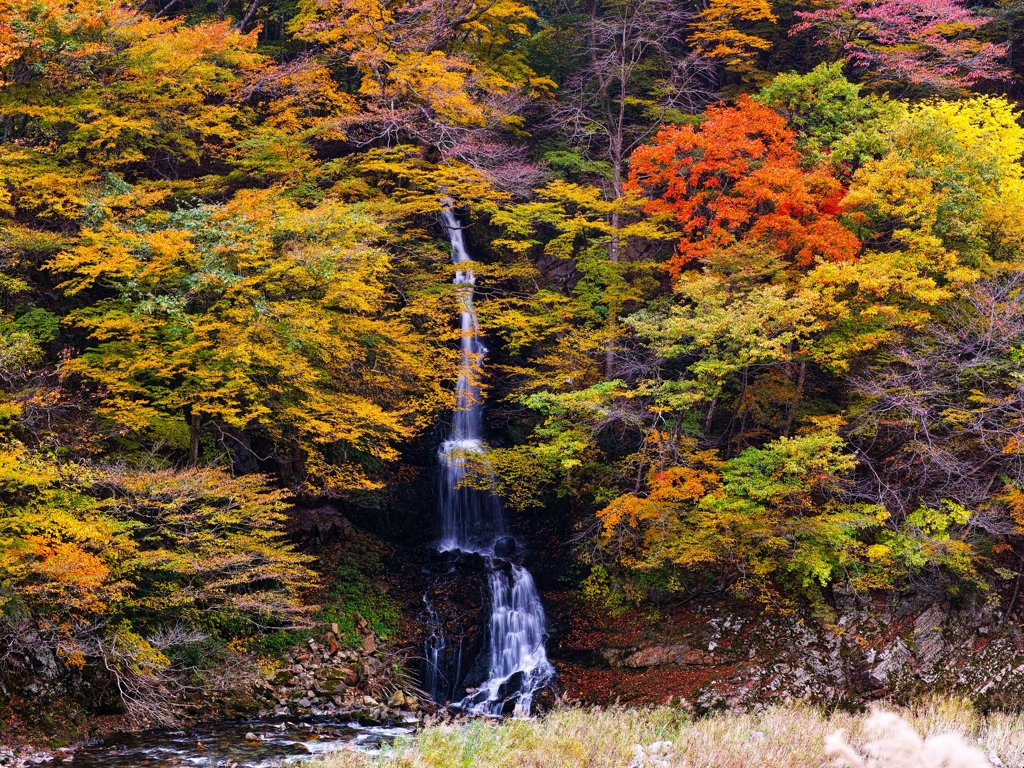 秋彩　日暮しの小滝