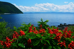 気分は常夏の島　２