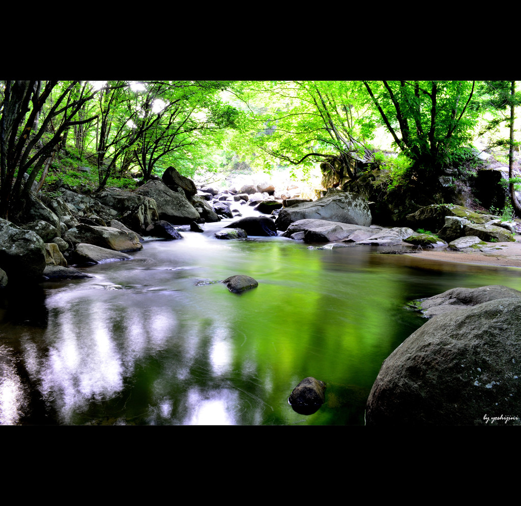 山鶏渓谷　～初夏の色彩　七　～