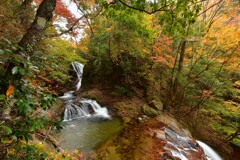 秋彩 釜ヶ淵の滝