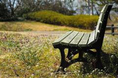 early spring