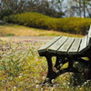 early spring