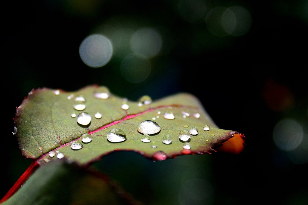 雨上がり